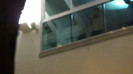 Demi  -  Sheraton Barra (879)
