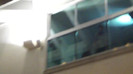 Demi  -  Sheraton Barra (898)