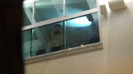 Demi  -  Sheraton Barra (928)