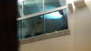 Demi  -  Sheraton Barra (929)
