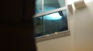 Demi  -  Sheraton Barra (937)
