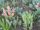 2012, April 21