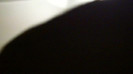Demi  -  Sheraton Barra (1042)