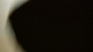 Demi  -  Sheraton Barra (1044)
