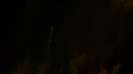 Demi  -  Sheraton Barra (1089)