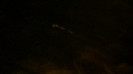 Demi  -  Sheraton Barra (1090)