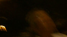 Demi  -  Sheraton Barra (1093)