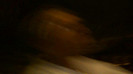 Demi  -  Sheraton Barra (1094)