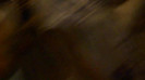 Demi  -  Sheraton Barra (1101)