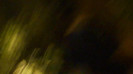 Demi  -  Sheraton Barra (1204)