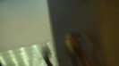 Demi  -  Sheraton Barra (1241)