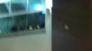 Demi  -  Sheraton Barra (1249)
