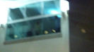 Demi  -  Sheraton Barra (1254)