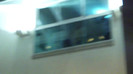 Demi  -  Sheraton Barra (1259)