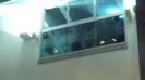 Demi  -  Sheraton Barra (1260)