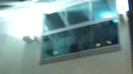 Demi  -  Sheraton Barra (1262)