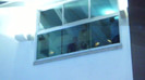 Demi  -  Sheraton Barra (1271)