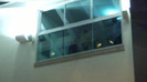 Demi  -  Sheraton Barra (1272)