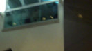 Demi  -  Sheraton Barra (1283)