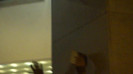 Demi  -  Sheraton Barra (1305)
