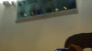 Demi  -  Sheraton Barra (1439)