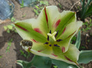 P1000423