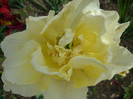 P1000424