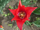 P1000426