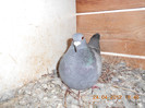 DSCN0925[1]