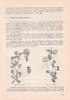 p141 292