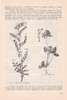 p141 294