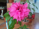 Photo004