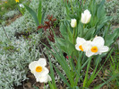 DSCN2605