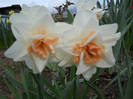 DSCN2607