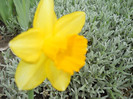DSCN2610