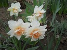 DSCN2612