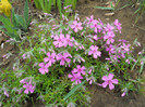 DSCN2615