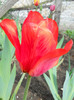 DSCN2616