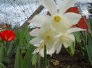 DSCN2618