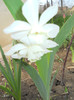 DSCN2619