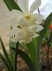 DSCN2620