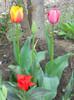 DSCN2621