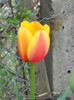 DSCN2622