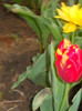 DSCN2625