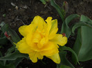 DSCN2634