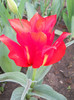 DSCN2636