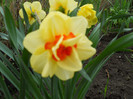 DSCN2640