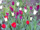 DSCN2644