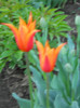 DSCN2645