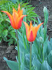 DSCN2646